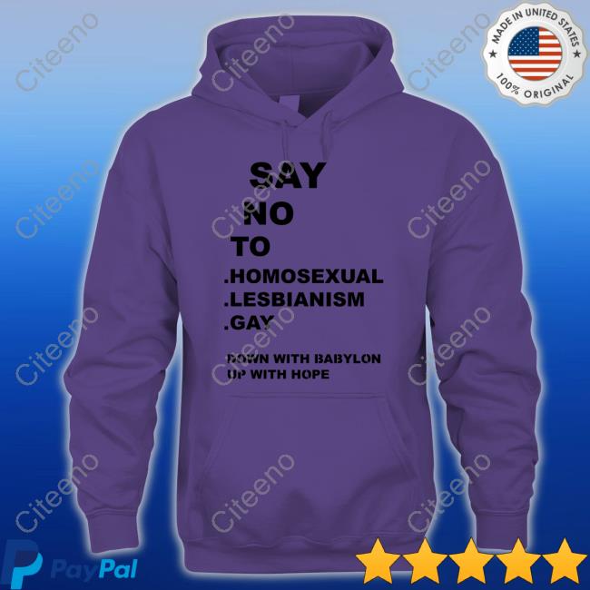 Say No To Homo Sexual Lesbianism Gay Down With Babylon Up With Hope Hooded Sweatshirt
